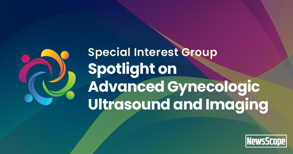 SIG-Spotlight-ultrasound-imaging.png SIG-Spotlight-ultrasound-imaging.png
